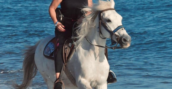 Side: Horseback Riding Adventure with Hotel Pickup