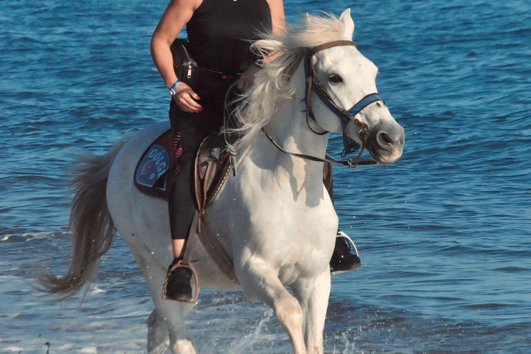 Side: Horseback Riding Adventure with Hotel Pickup