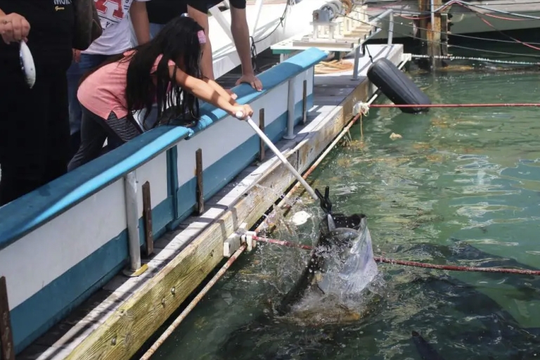 Miami: Karmienie gigantycznych rybMiami: Giant Fish Feeding Experience - Tarpon i wycieczka z przewodnikiem