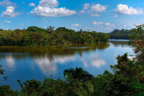 Tambopata: Sandoval Lake and Cayman Safari 2 days