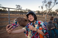 Alice Springs, Guided Outback Camel Ride - Hizvo