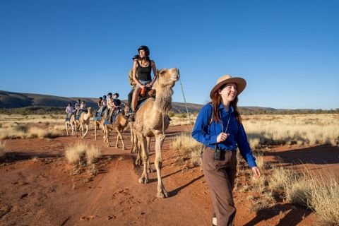 Alice Springs: passeio guiado de camelo no Outback