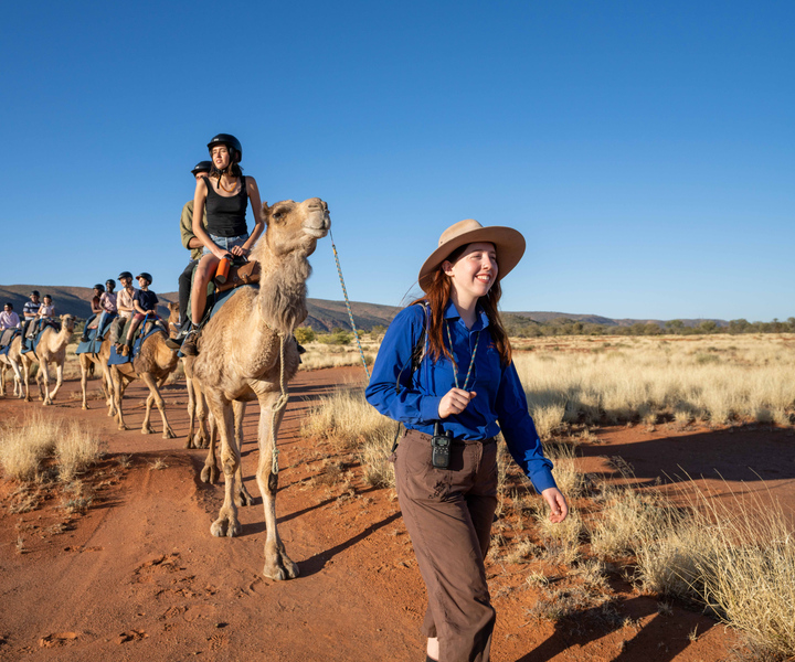 Alice Springs : Promenade guidée à dos de chameau dans l'Outback