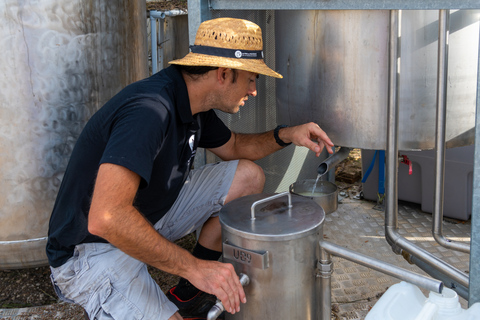 Tour del campo di lavanda e della distilleria tra Nimes e Arles