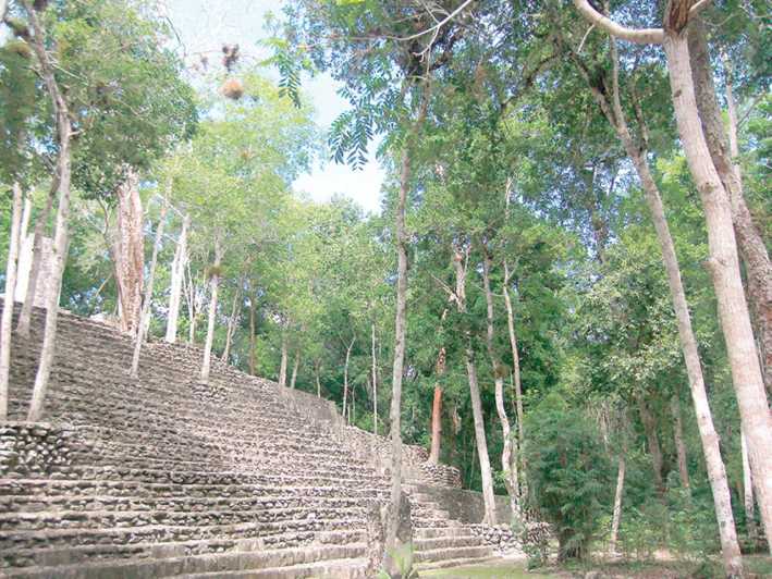 From Campeche: Private 3-Day Selva Maya Tour with Half Board