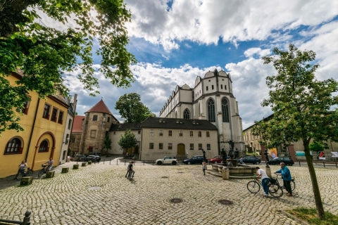 Halle: Private Guided Walking Tour