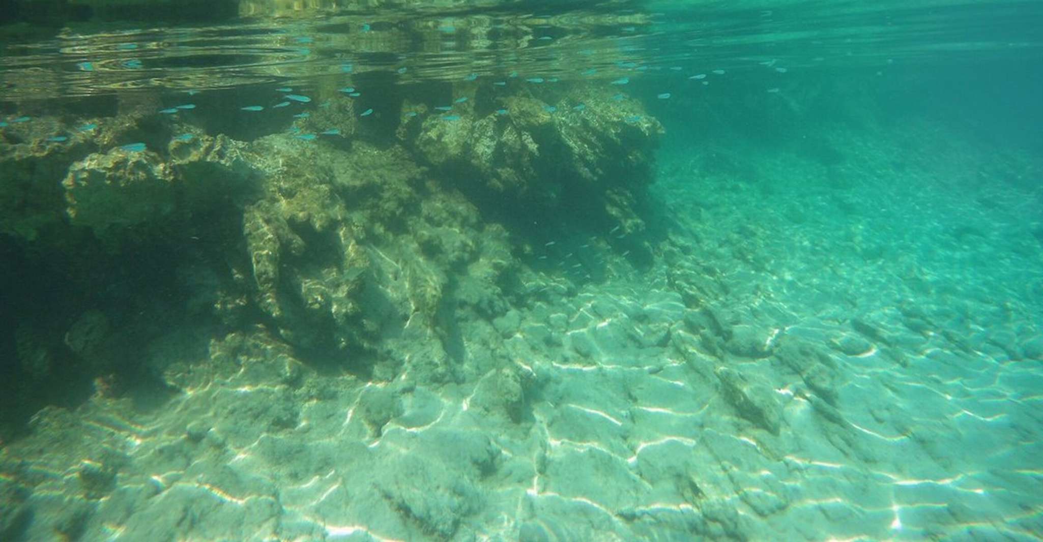 Bodrum, Boat Cruise with Lunch and Optional Hotel Transfer - Hizvo