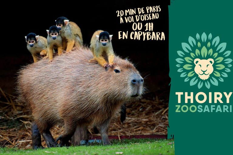 Ticket de entrada al WOW Safari ThoiryTicket de entrada a WOW Safari Thoiry