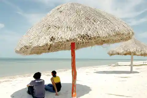 De Campeche: Tour Privado Flamingo