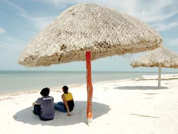 Desde Campeche: Tour Privado Flamingo