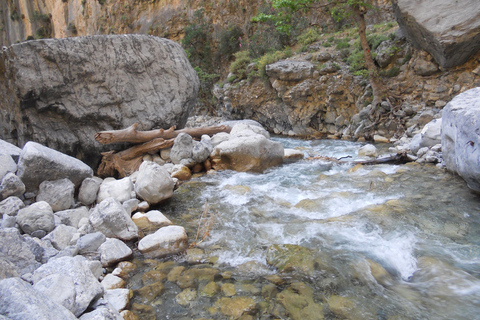 From Agia Galini/Matala: Samaria Gorge Hiking Tour