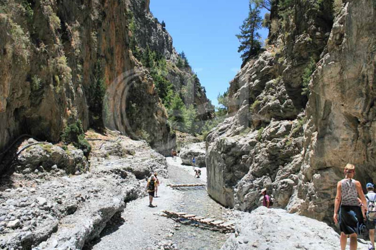 From Agia Galini/Matala: Samaria Gorge Hiking Tour