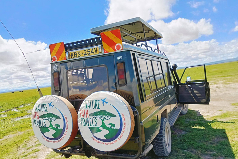 Nairobi Halbtagestour in einem Landcruiser und alle Parkgebühren