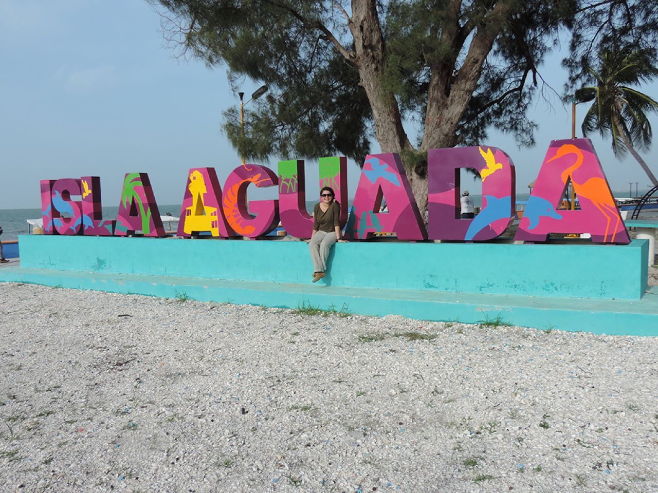 Ab Campeche: Isla Aguada Dolphin Encounter Tour