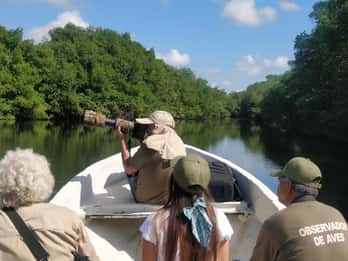 Desde Campeche: Recorrido por el Río Mamantel