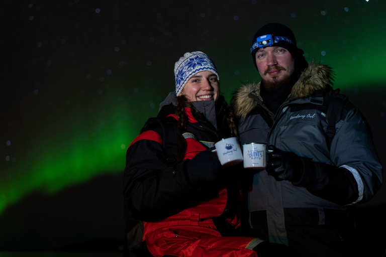 Van Tromsø: Tour met kleine groepstochten door het noorden