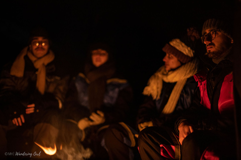 Ab Tromsø: Nordlichter-Tour in kleiner Gruppe