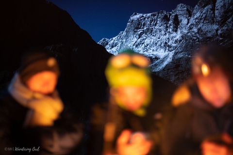 Ab Tromsø: Nordlichter-Tour in kleiner Gruppe