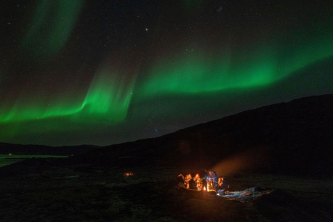 From Tromsø: Small Group Northern Lights Tour