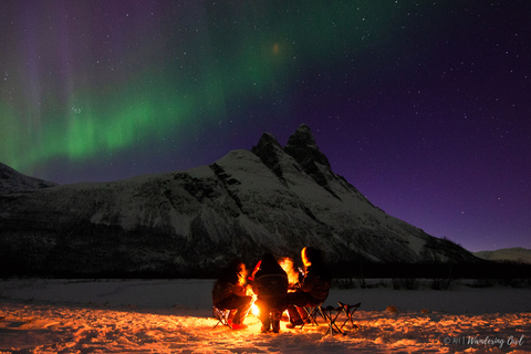 Ab Tromsø: Nordlichter-Tour in kleiner Gruppe