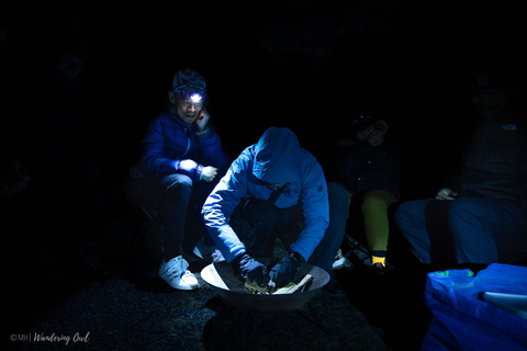 Van Tromsø: Tour met kleine groepstochten door het noorden