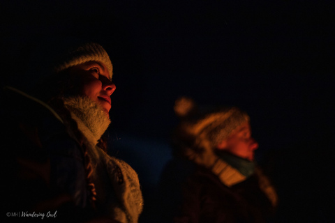 Ab Tromsø: Nordlichter-Tour in kleiner Gruppe