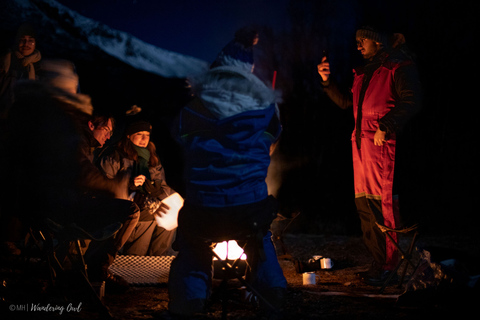 From Tromsø: Small Group Northern Lights Tour