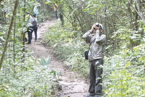 Von Campeche aus: Miguel Colorado Cenoten Tour