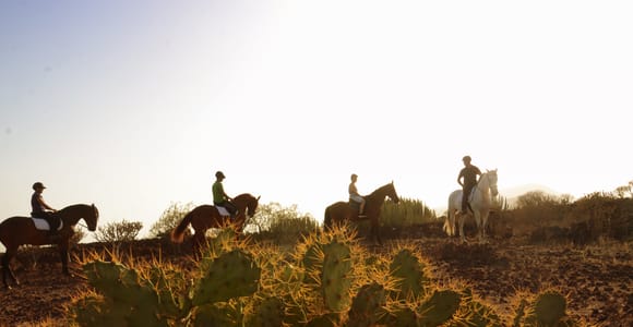 Tenerife: Horseback Ride with Instructor