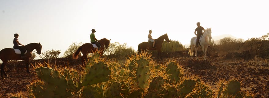 Tenerife : Randonnée à cheval avec instructeur
