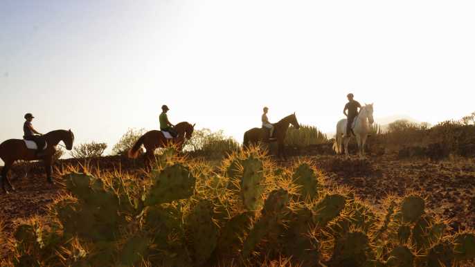 Tenerife: Horseback Ride with Instructor