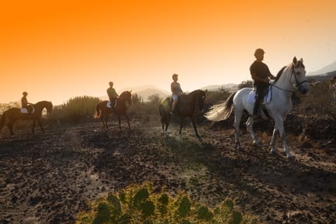 Tenerife: Horseback Ride with Instructor