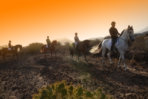 Tenerife: Horseback Ride 1-hour Horse Ride