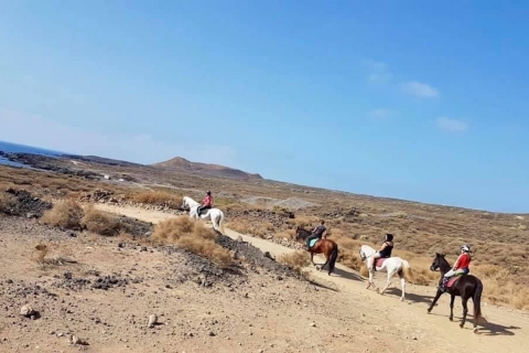 Tenerife: paardrijdenPaardrijden van 2 uur