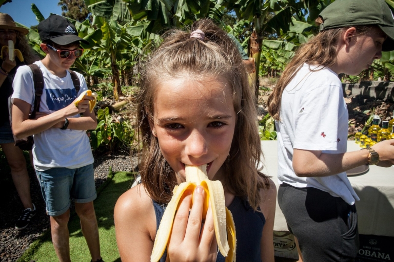 La Ortava : Visite guidée d'une bananeraie écologique