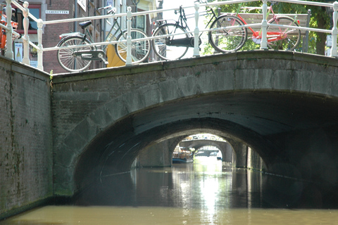 Delft : Croisière en bateau ouvert sur l'histoire de Vermeer