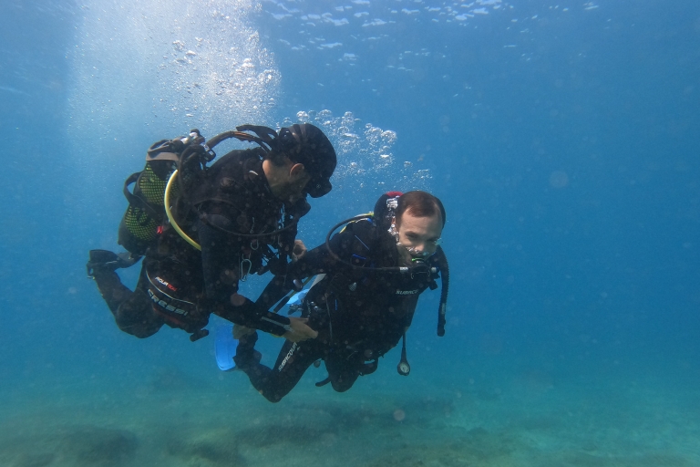 Plongée sous-marine à Fuerteventura