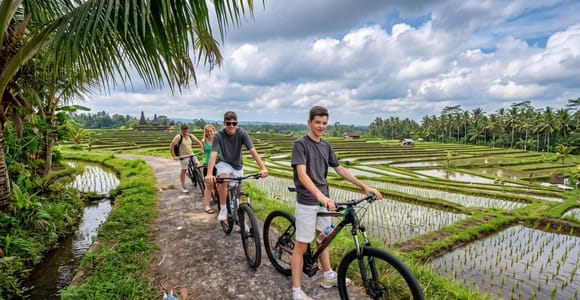 Ubud: Guided Ricefield and Village Cycling Tour with Lunch