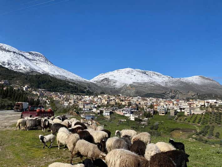 Paths Of Cretan Tradition (Psiloritis Route)