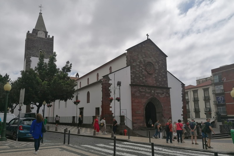 Pico dos Barcelos Tour