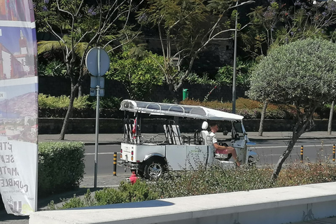 Pico dos Barcelos Tour