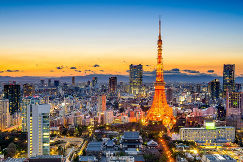 Tokio: Aanpasbare privé stadsrondleiding met chauffeurStandaard auto 5 personen!!!