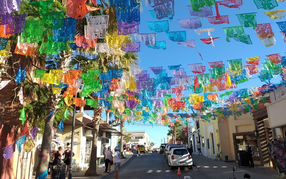 Halfday guided tour San José del Cabo Art & Beer tasting GetYourGuide