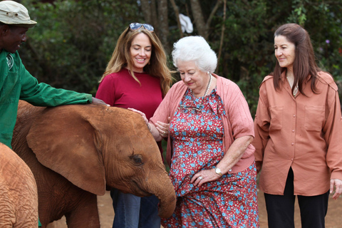 Visite à Nairobi du sanctuaire des éléphants et du centre des girafes.