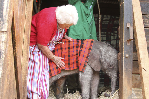 Visite à Nairobi du sanctuaire des éléphants et du centre des girafes.