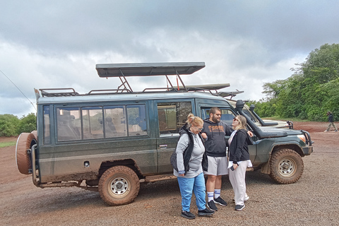 Nairobi Halbtagestour in einem Landcruiser und alle Parkgebühren