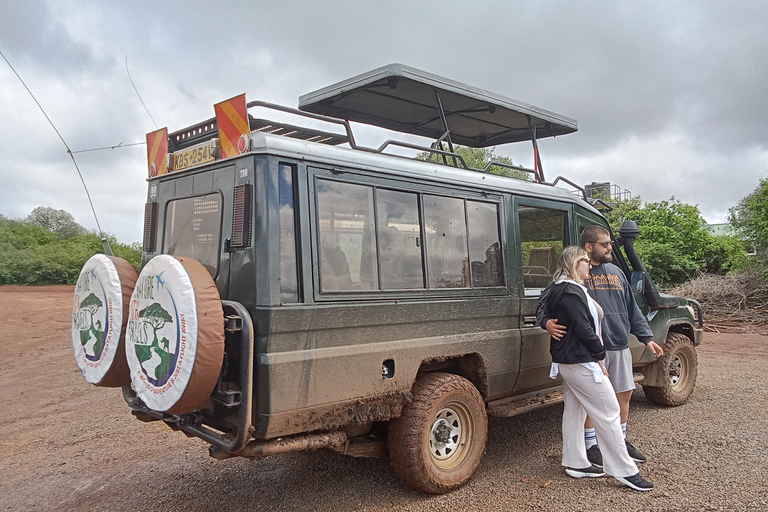 Nairobi Halbtagestour in einem Landcruiser und alle Parkgebühren