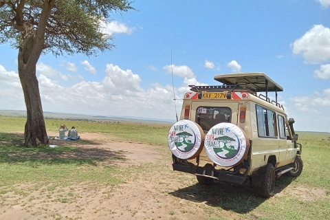 Nairobi Halbtagestour in einem Landcruiser und alle Parkgebühren