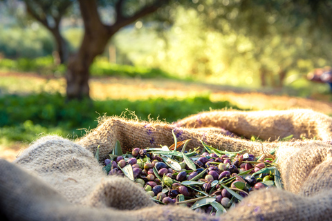 Depuis Athènes : Dégustation de vin, d'huile d'olive et de fromage à Némée et ArgolisPrise en charge et/ou dépose au port du Pirée