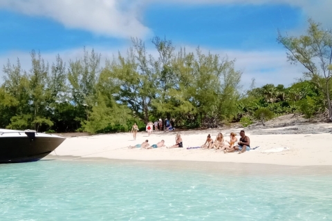 Von Nassau aus: Exuma Leguane, Haie und schwimmende Schweine TagestourExuma Leguane, Haie und schwimmende Schweine Tagestour - Gruppe